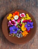 Edible Flower - Mix Seasonal Blossoms
