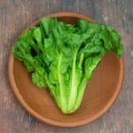 Chicory - Escarole